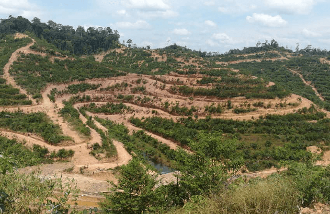 Land Clearing & Plantation Works